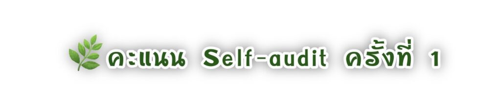 self audit11