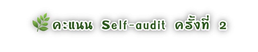 self audit22